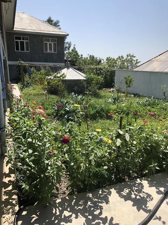 Shaki Host House Bed & Breakfast Şǝki Екстериор снимка