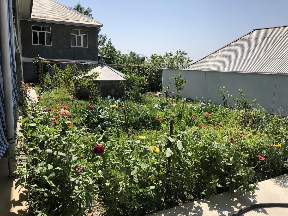 Shaki Host House Bed & Breakfast Şǝki Екстериор снимка